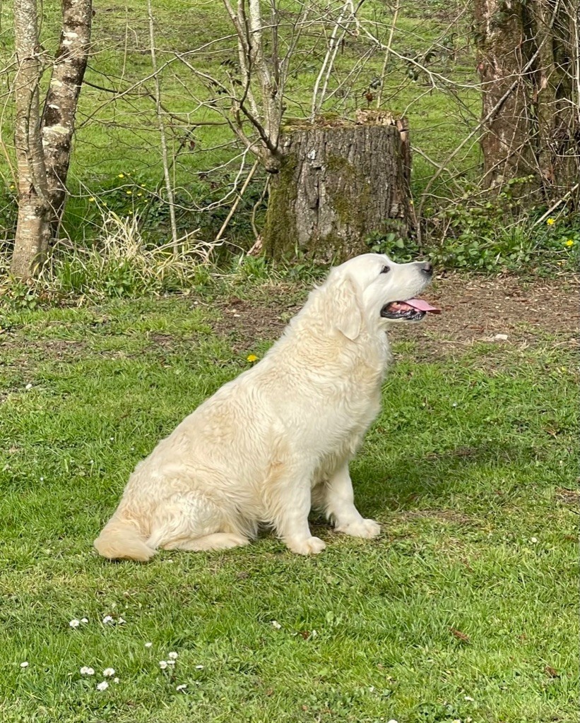 Prada mademoiselle De La Lagune De Montdesir