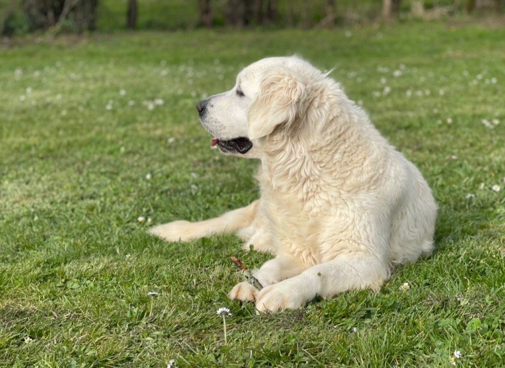 Prada mademoiselle De La Lagune De Montdesir