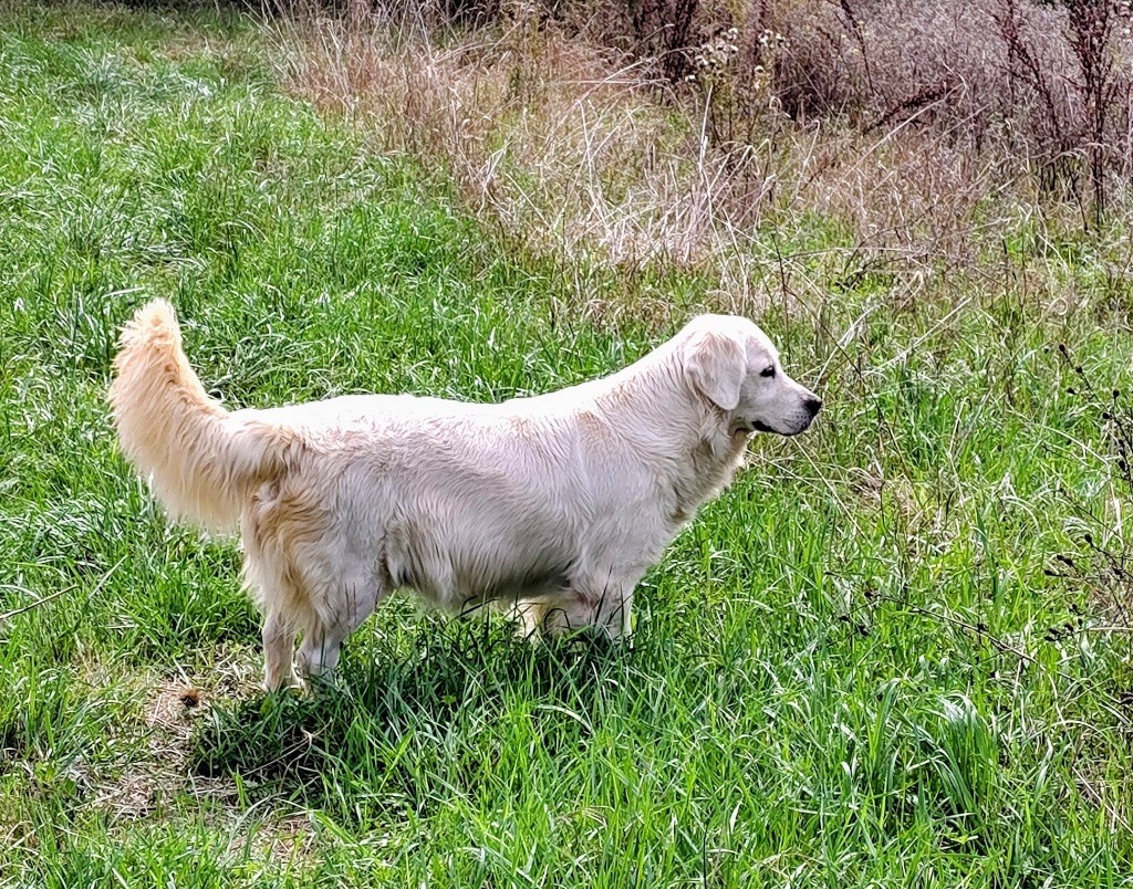 Undie De La Lagune De Montdesir
